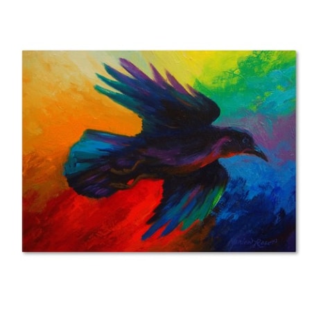 Marion Rose 'Crow 4' Canvas Art,24x32